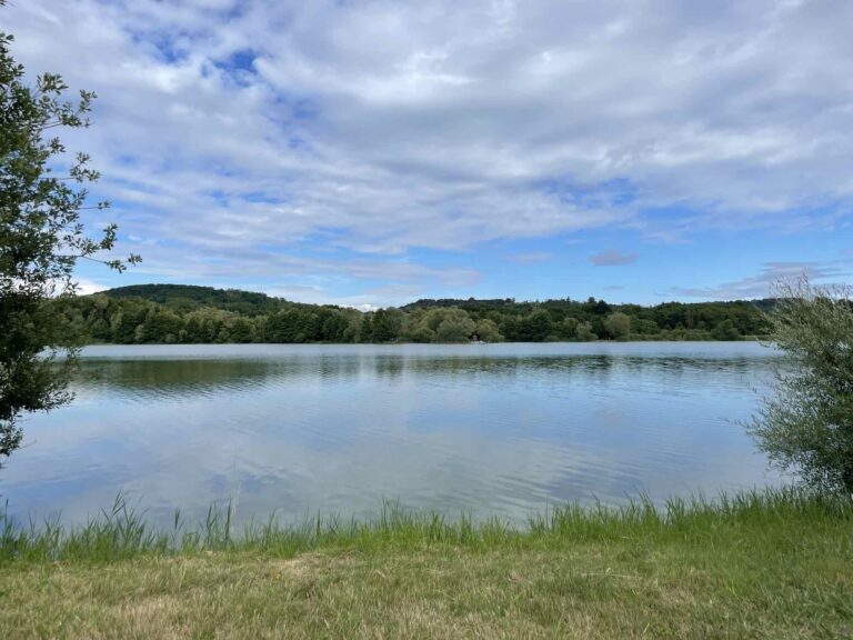 poste 7 étang tronc du chene, pleine eau vue droite