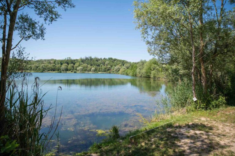 vue droite poste 11 étang du tronc du chêne cap nature