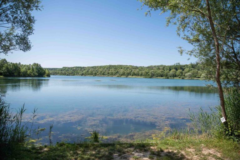 poste 11 étang du tronc du chêne cap nature