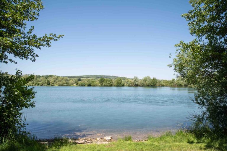 vue plein eau poste 12 étang du tronc du chêne cap nature