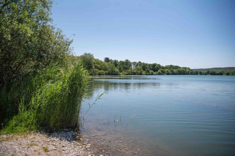cap nature vue gauche poste 14 étang tronc du chêne