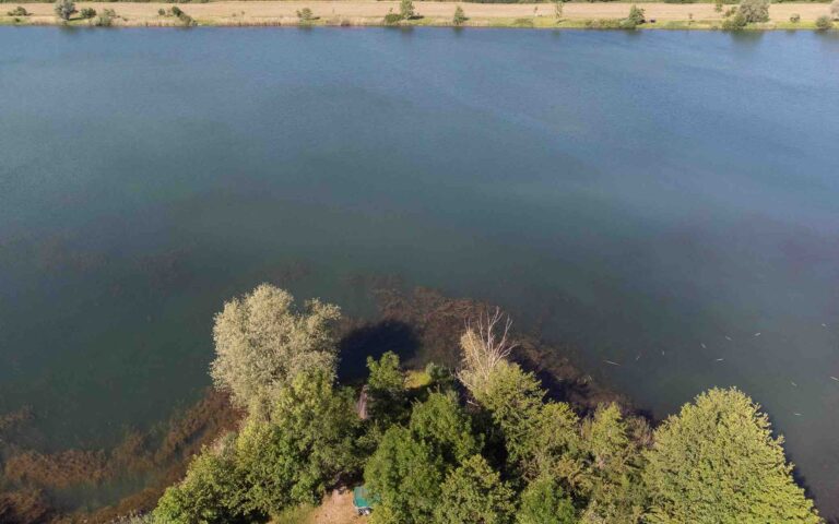 poste 15 vue plein eau étang tronc du chêne cap nature