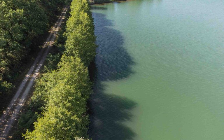 vue bordure poste 18 étang tronc du chêne cap nature