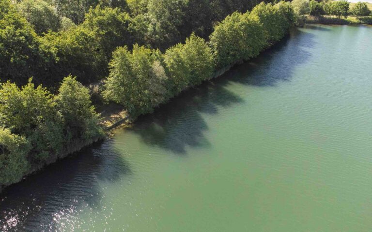 vue de face poste 18 étang tronc du chene cap nature