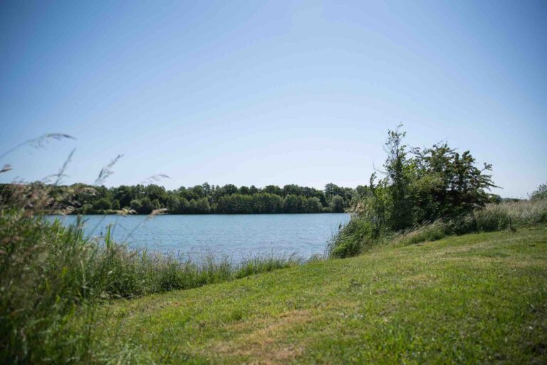 vue de côté poste 3 étang du tronc du chene cap nature