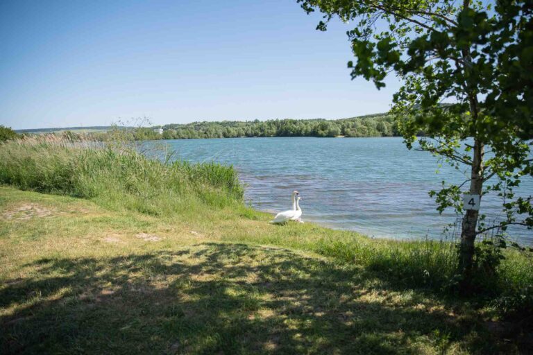 vue côté poste 4 étang du tronc du chêne cap nature