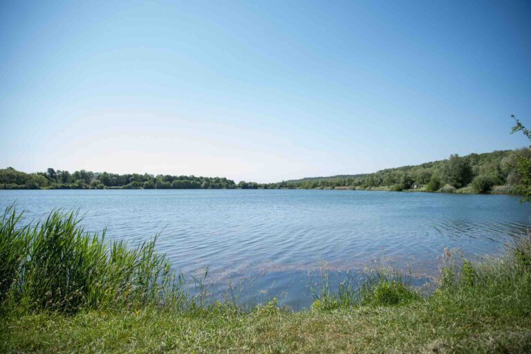 poste 8 étang du tronc du chene cap nature