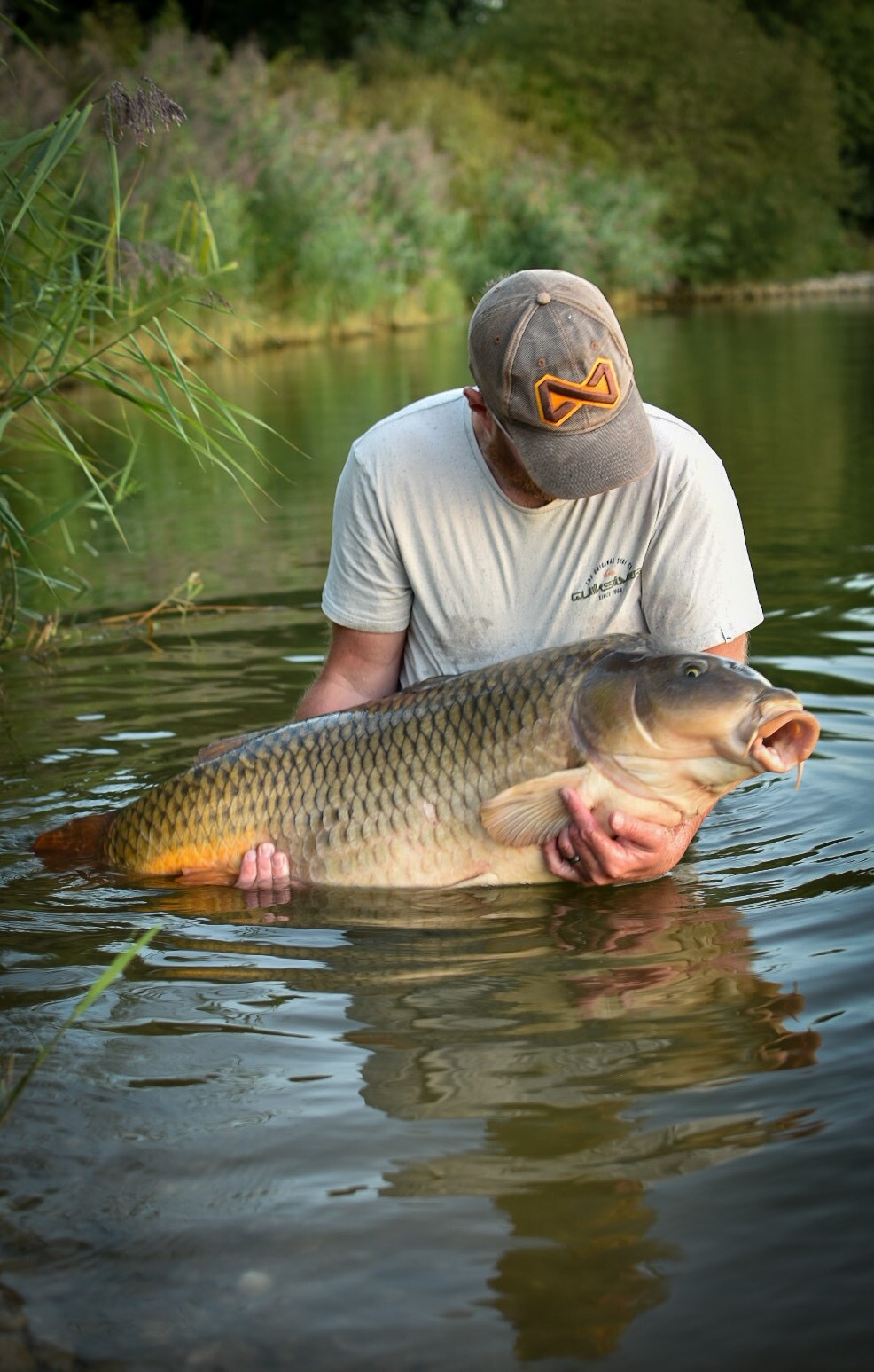étang tronc du chêne pêche de la carpe