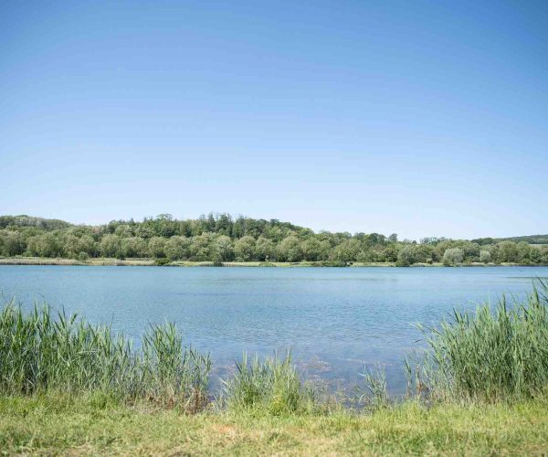 vue plein eau poste 16 étang tronc du chêne cap nature