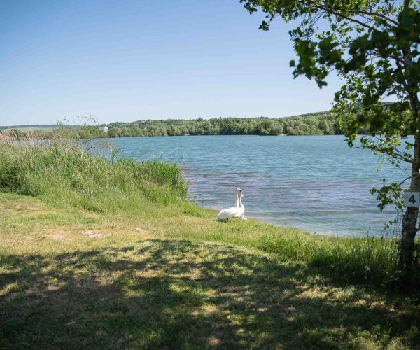 vue côté poste 4 étang du tronc du chêne cap nature