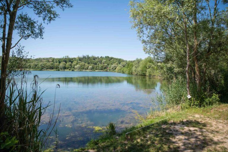 vue droite poste 11 étang du tronc du chêne cap nature