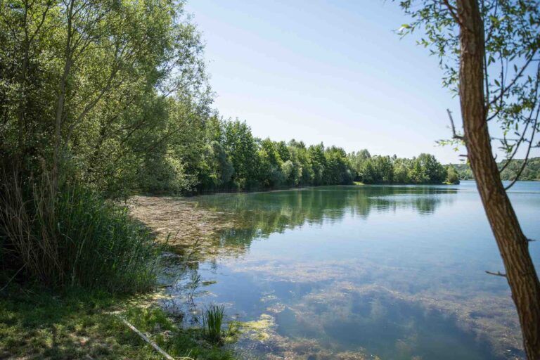 vue gauche poste 11 étang du tronc du chêne cap nature
