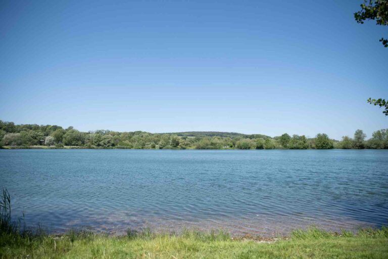 vue plein eau poste 13 étang tronc du chêne cap nature