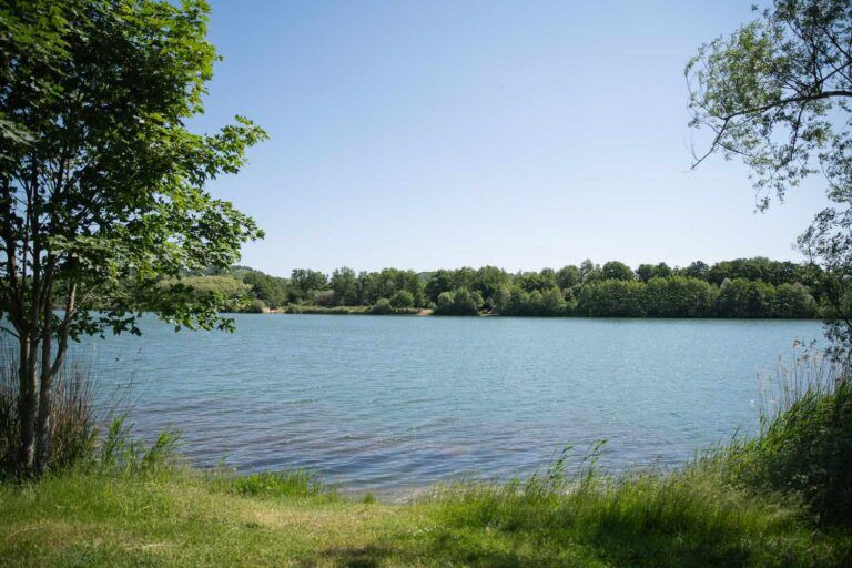 vue poste 2 étang du tronc du chene cap nature