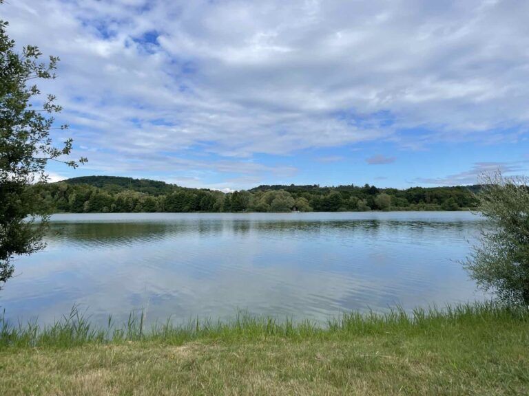 poste 7 étang tronc du chene, pleine eau vue droite