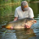 étang tronc du chêne pêche de la carpe